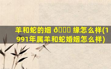 羊和蛇的姻 🕊 缘怎么样(1991年属羊和蛇婚姻怎么样)